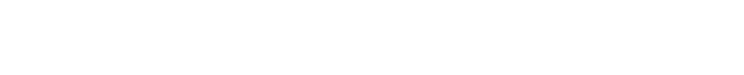 Dallas Morning News Logo